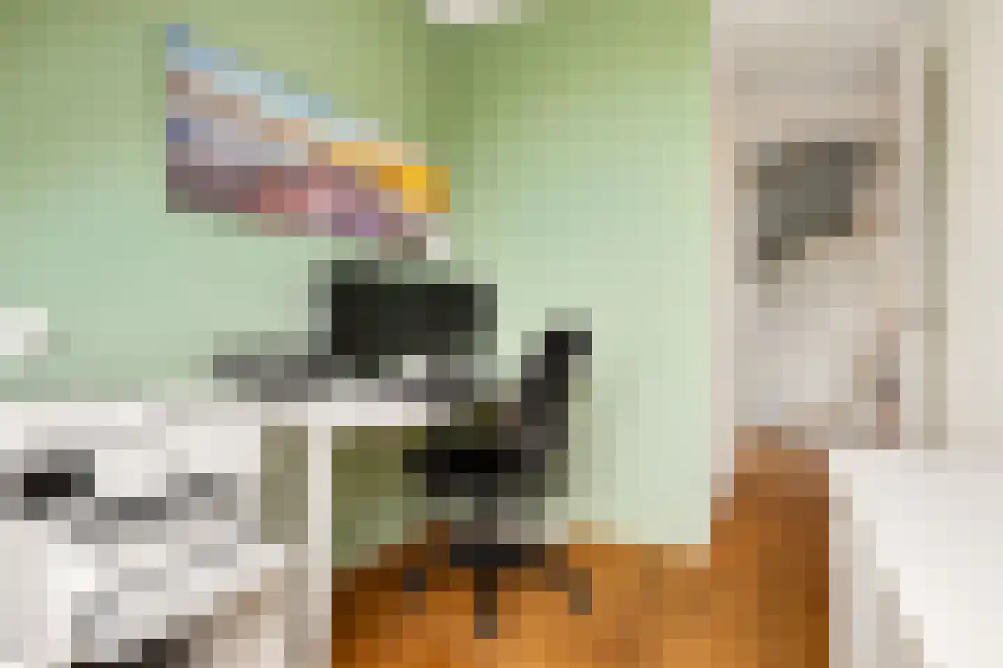 Eerdelaan 25 Zwolle thumbnail 24