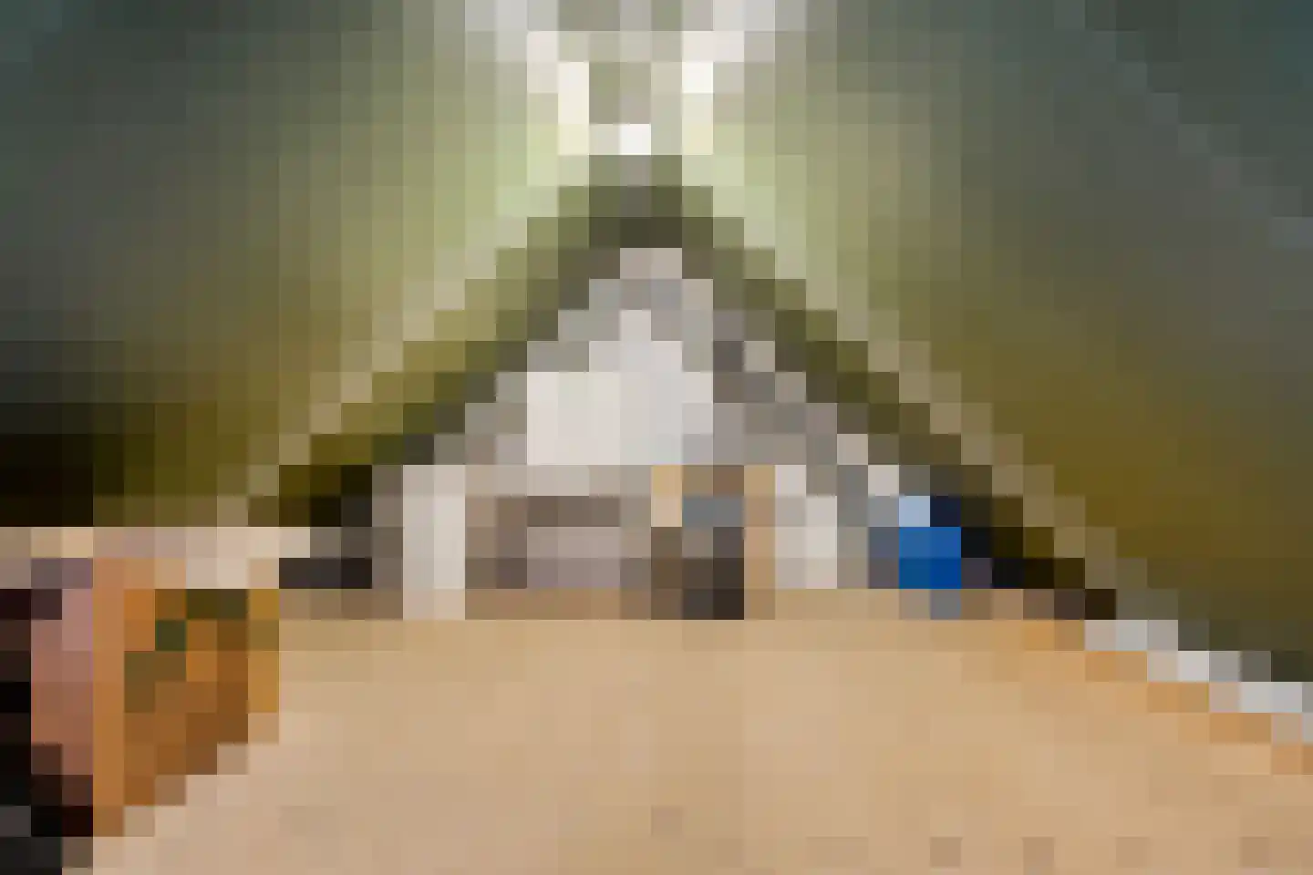 Eerdelaan 25 Zwolle thumbnail 33
