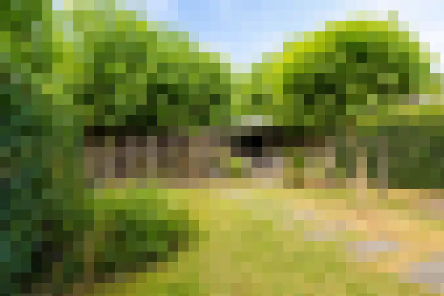 Eerdelaan 25 Zwolle thumbnail 37