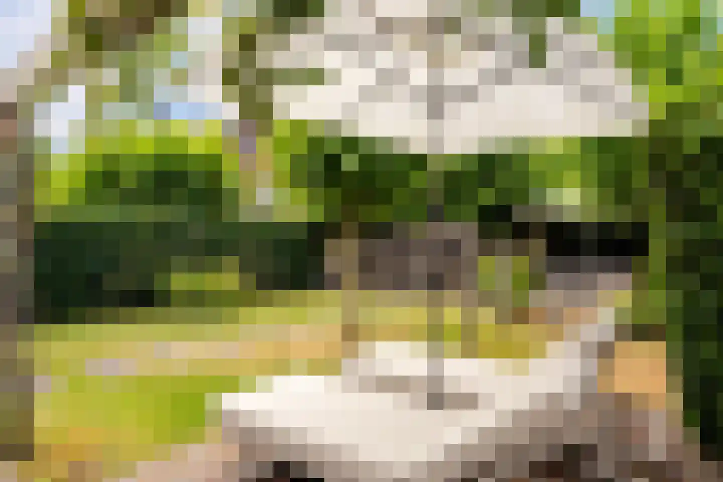 Eerdelaan 25 Zwolle thumbnail 39