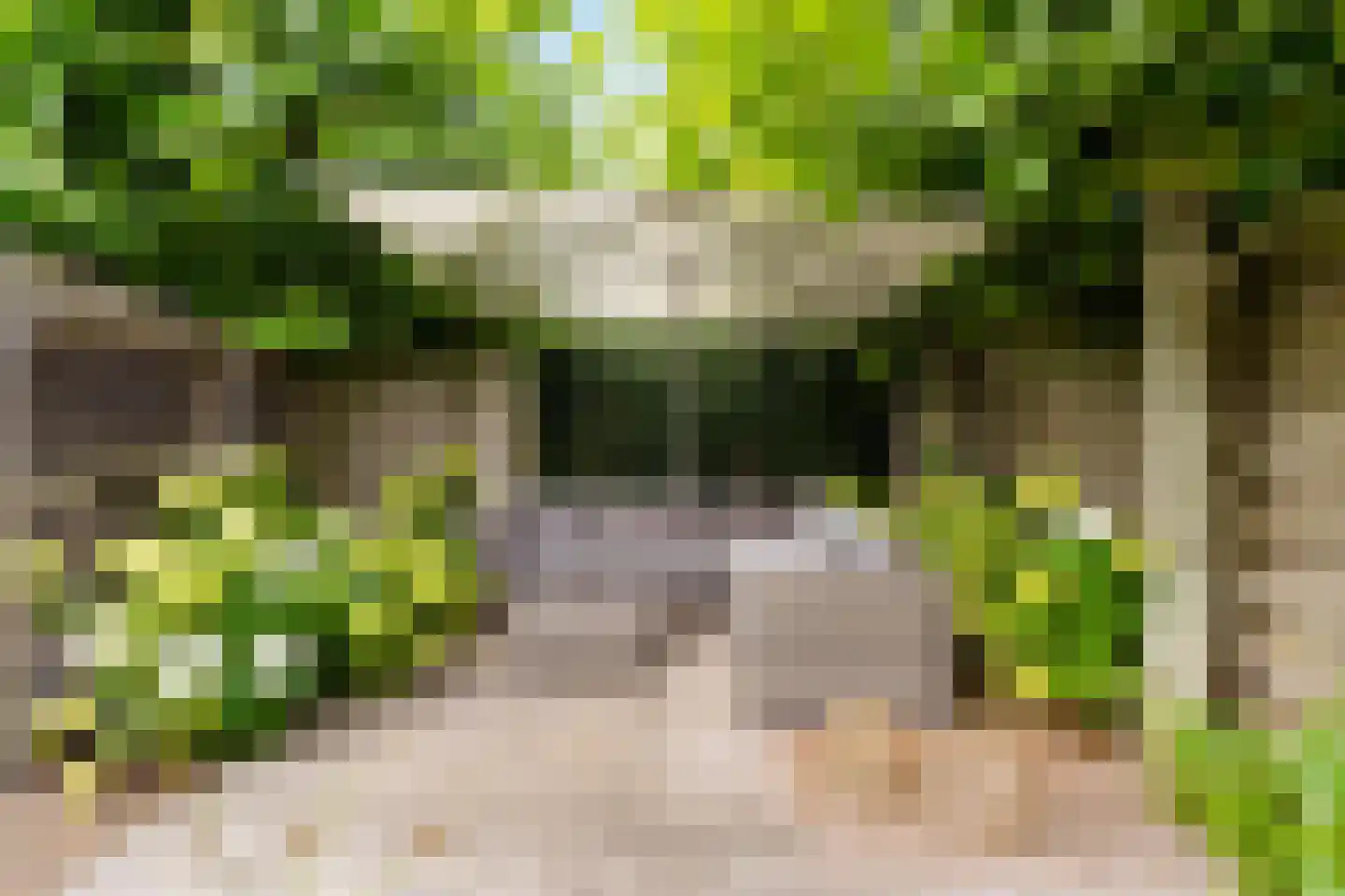Eerdelaan 25 Zwolle thumbnail 40