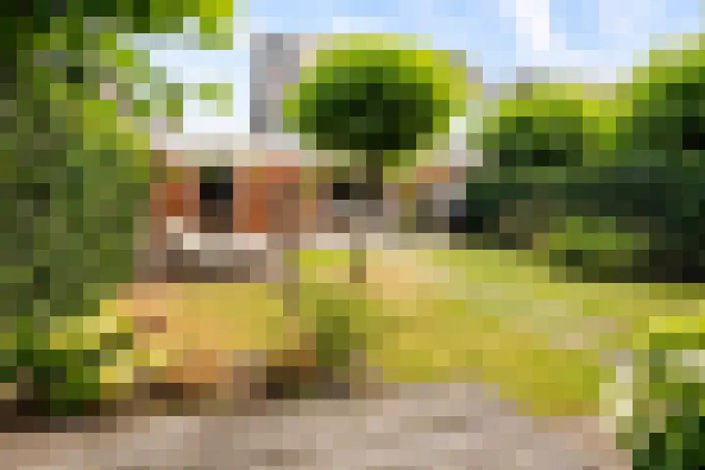 Eerdelaan 25 Zwolle thumbnail 41