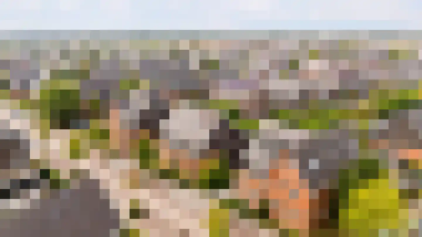 Eerdelaan 25 Zwolle thumbnail 43