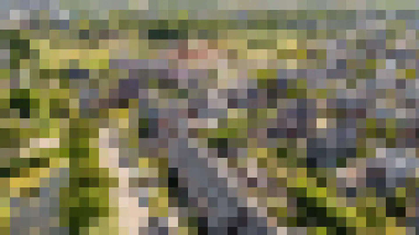 Eerdelaan 25 Zwolle thumbnail 48