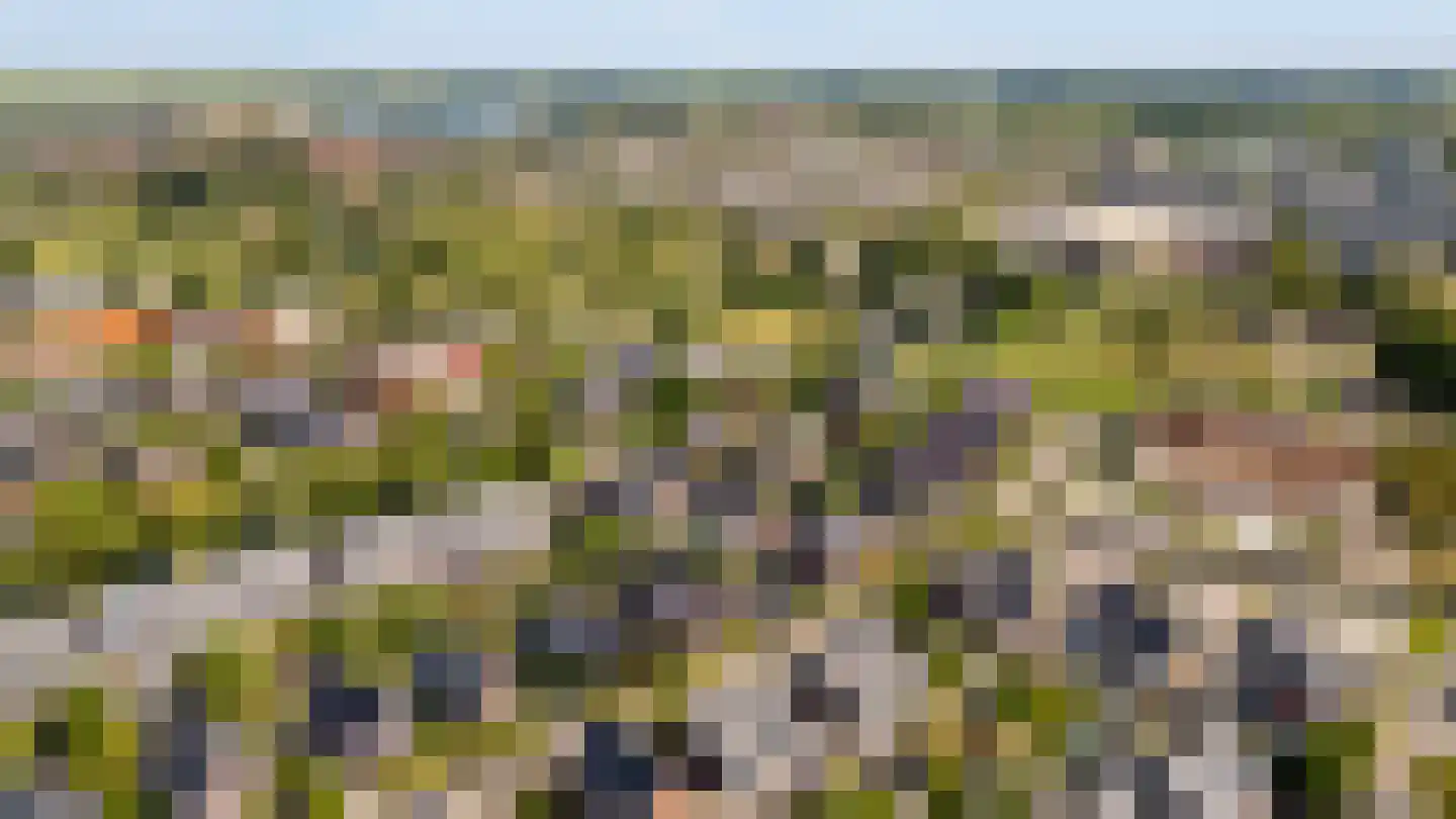 Eerdelaan 25 Zwolle thumbnail 49