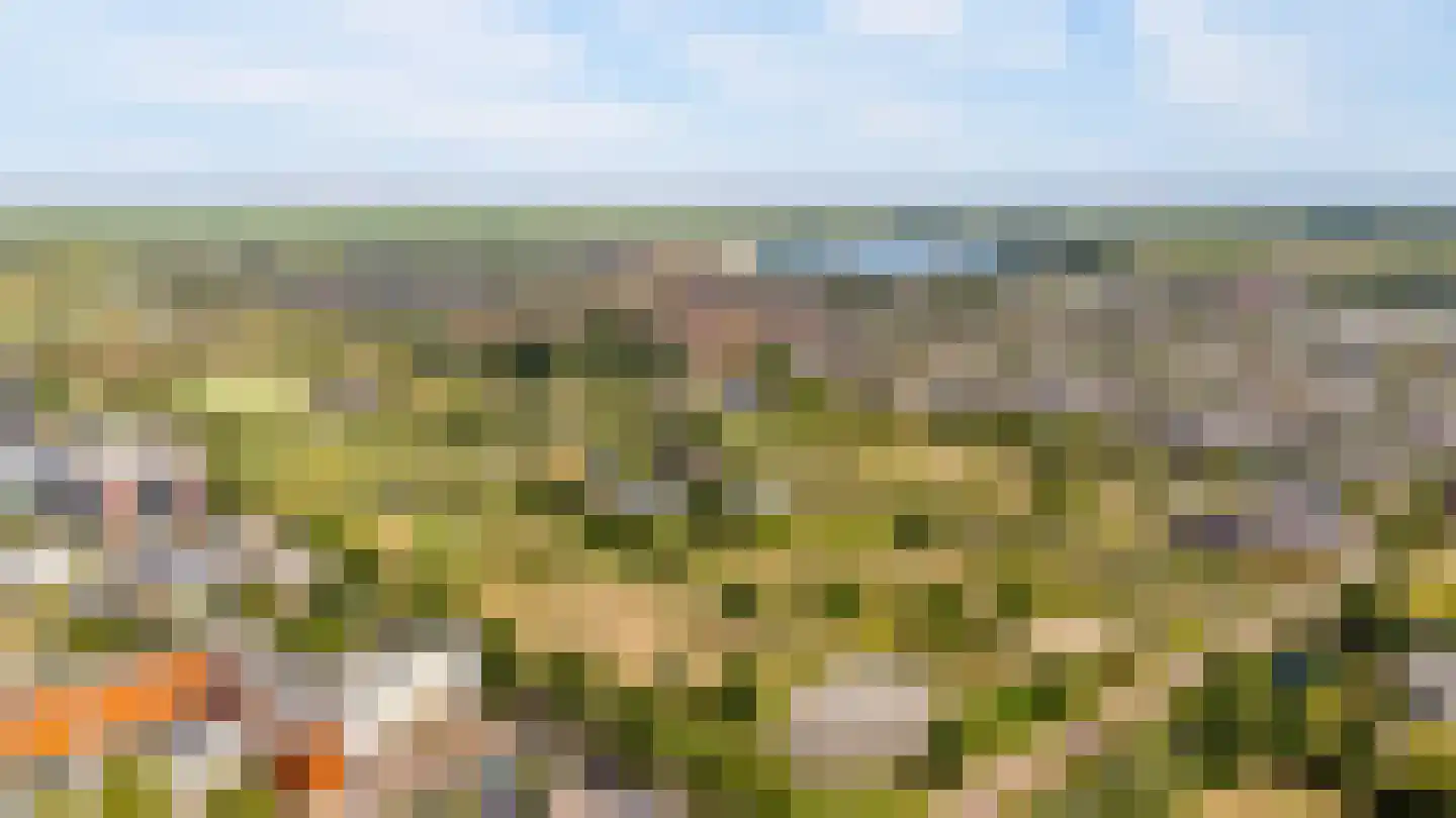 Eerdelaan 25 Zwolle thumbnail 50