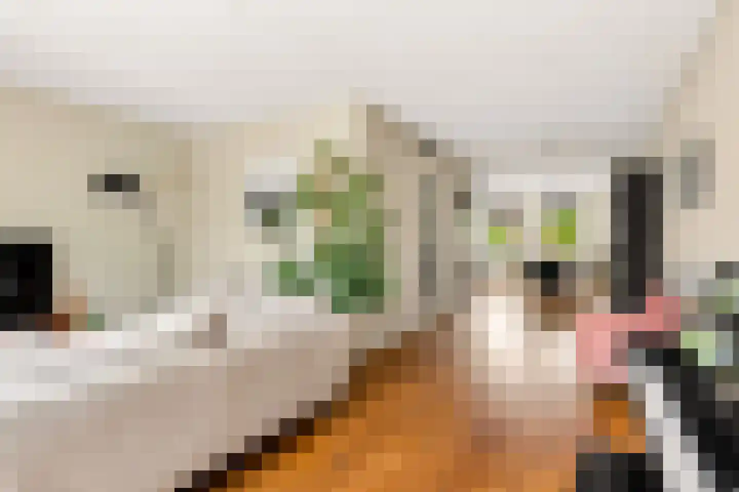 Eerdelaan 25 Zwolle thumbnail 7