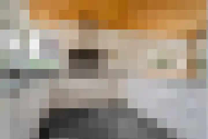 Eerdelaan 33 Zwolle thumbnail 13