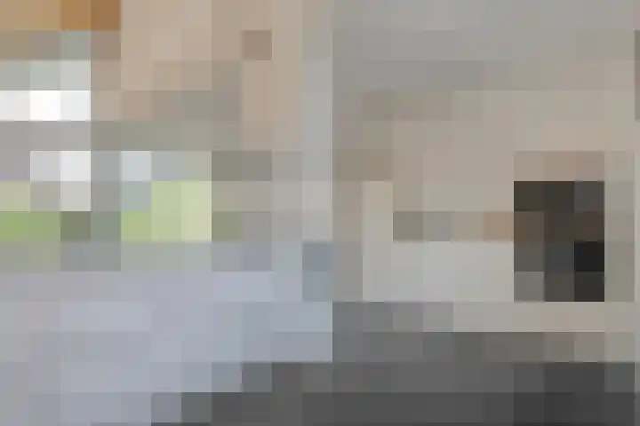 Eerdelaan 33 Zwolle thumbnail 16