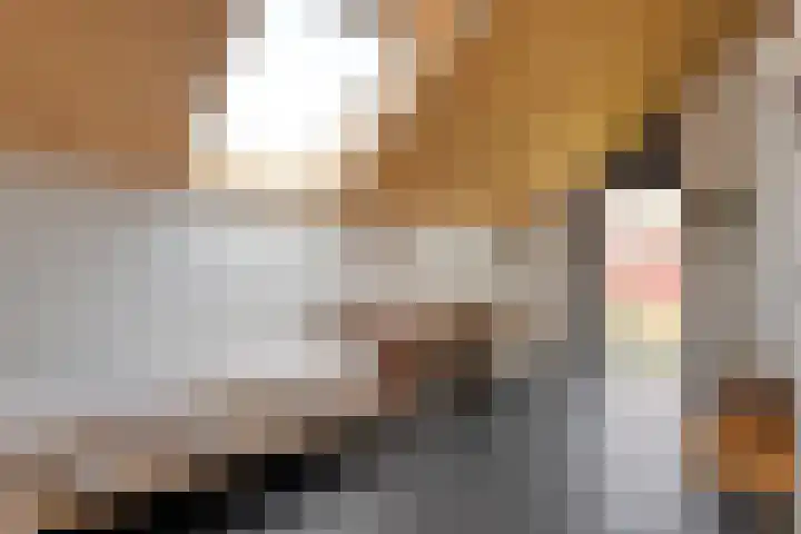 Eerdelaan 33 Zwolle thumbnail 25