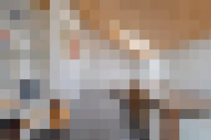Eerdelaan 33 Zwolle thumbnail 26