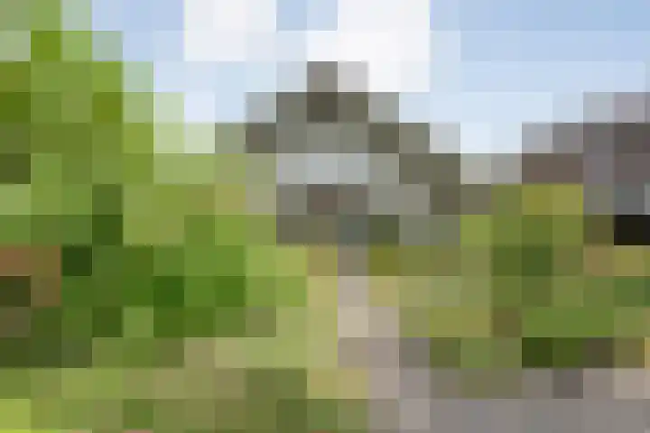 Eerdelaan 33 Zwolle thumbnail 32