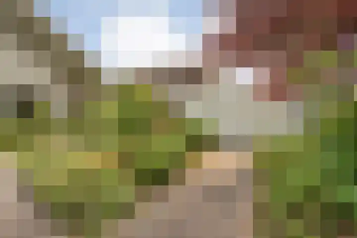 Eerdelaan 33 Zwolle thumbnail 33