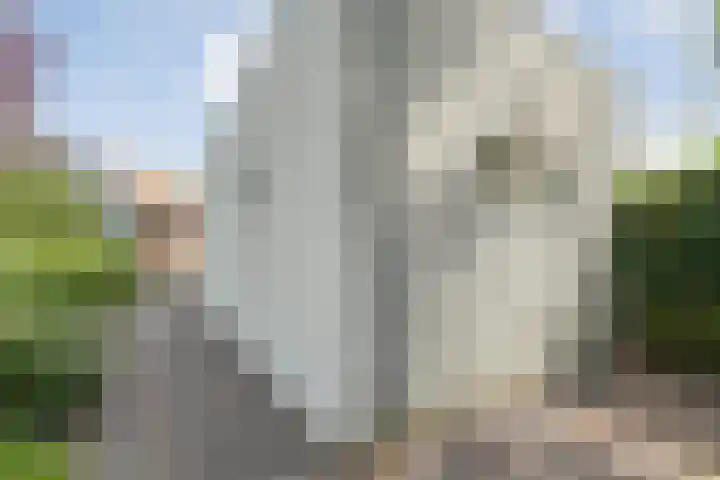Eerdelaan 33 Zwolle thumbnail 34