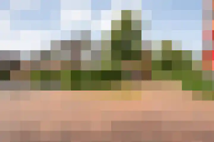 Eerdelaan 33 Zwolle thumbnail 36