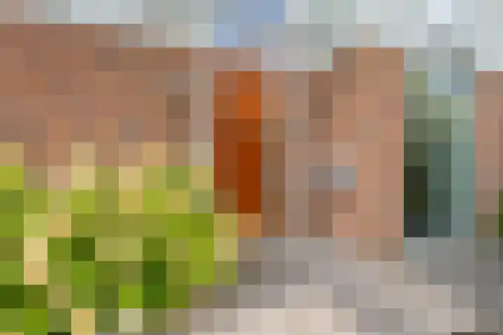 Eerdelaan 33 Zwolle thumbnail 5