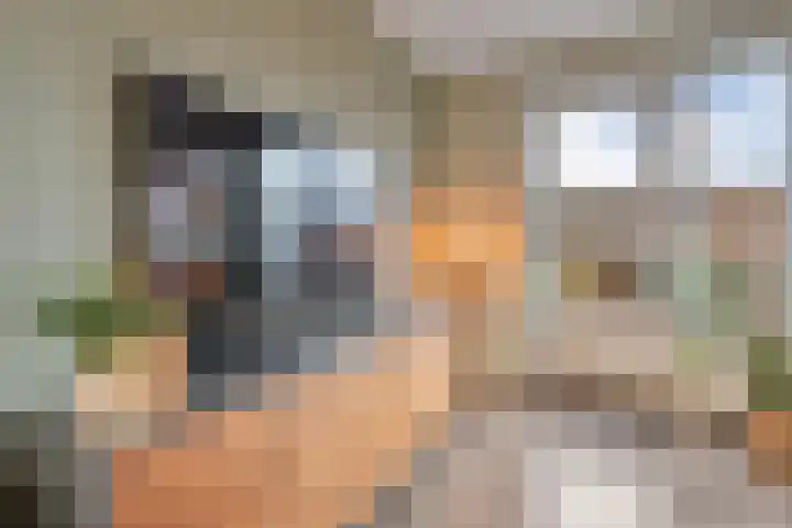 Eerdmanserve 47 Rijssen thumbnail 13