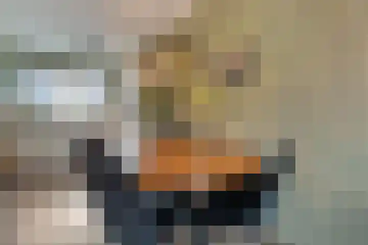 Eerdmanserve 47 Rijssen thumbnail 15