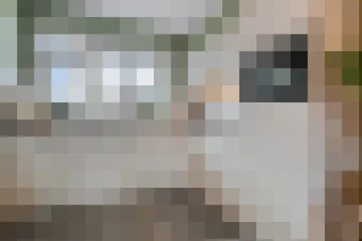 Eerdmanserve 47 Rijssen thumbnail 18