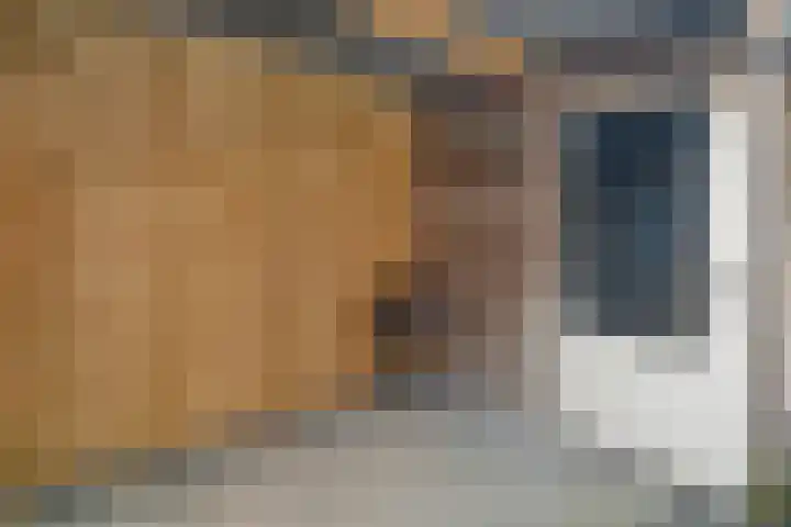 Eerdmanserve 47 Rijssen thumbnail 34