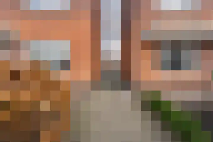 Eerdmanserve 47 Rijssen thumbnail 37