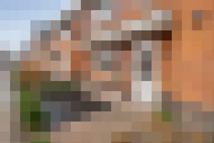 Eerdmanserve 47 Rijssen thumbnail 8