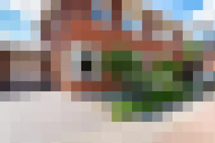 Eerdmanserve 7 Rijssen foto 2