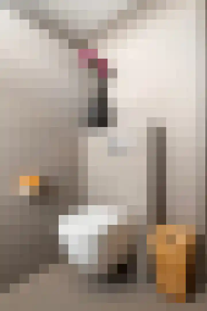 Eerdmanserve 7 Rijssen thumbnail 35