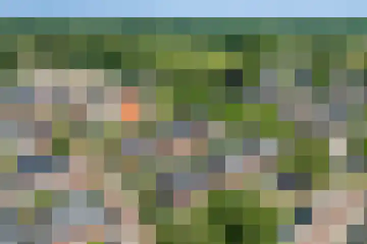 Eerdmanserve 7 Rijssen thumbnail 51