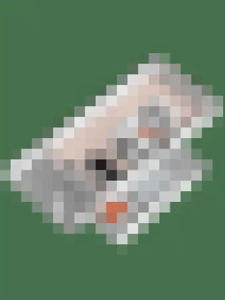 Eerdmanserve 7 Rijssen thumbnail 56