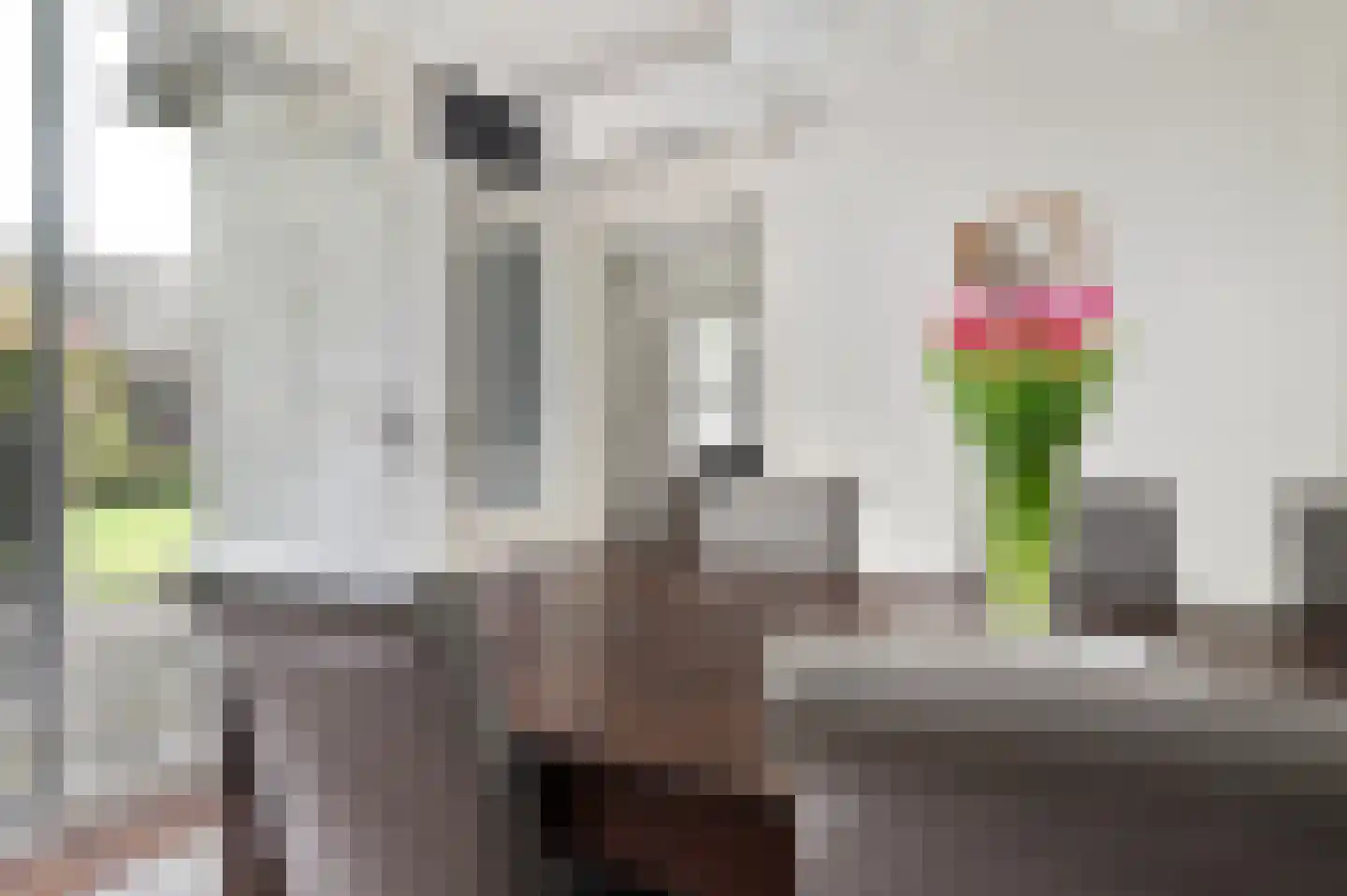 Eerdsebaan 2 Schijndel thumbnail 12