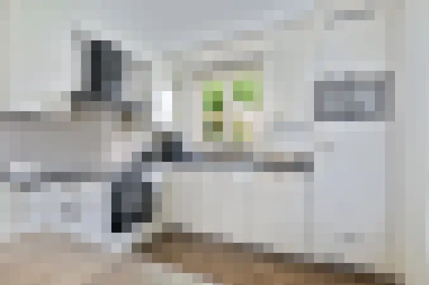 Eerdsebaan 2 Schijndel thumbnail 14