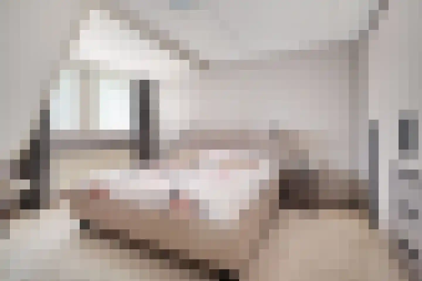 Eerdsebaan 2 Schijndel thumbnail 22