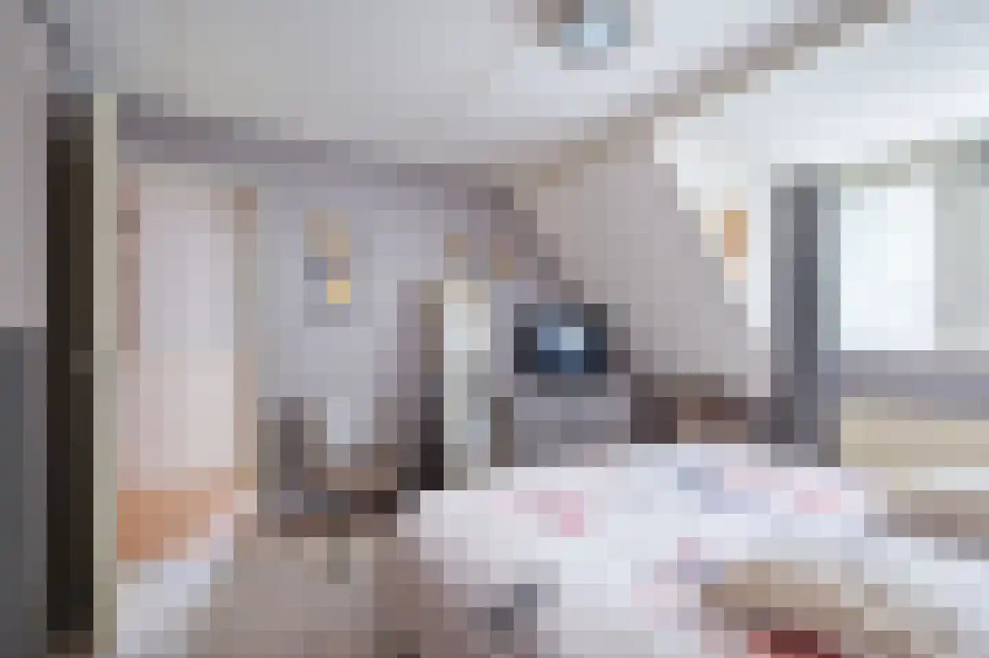 Eerdsebaan 2 Schijndel thumbnail 23