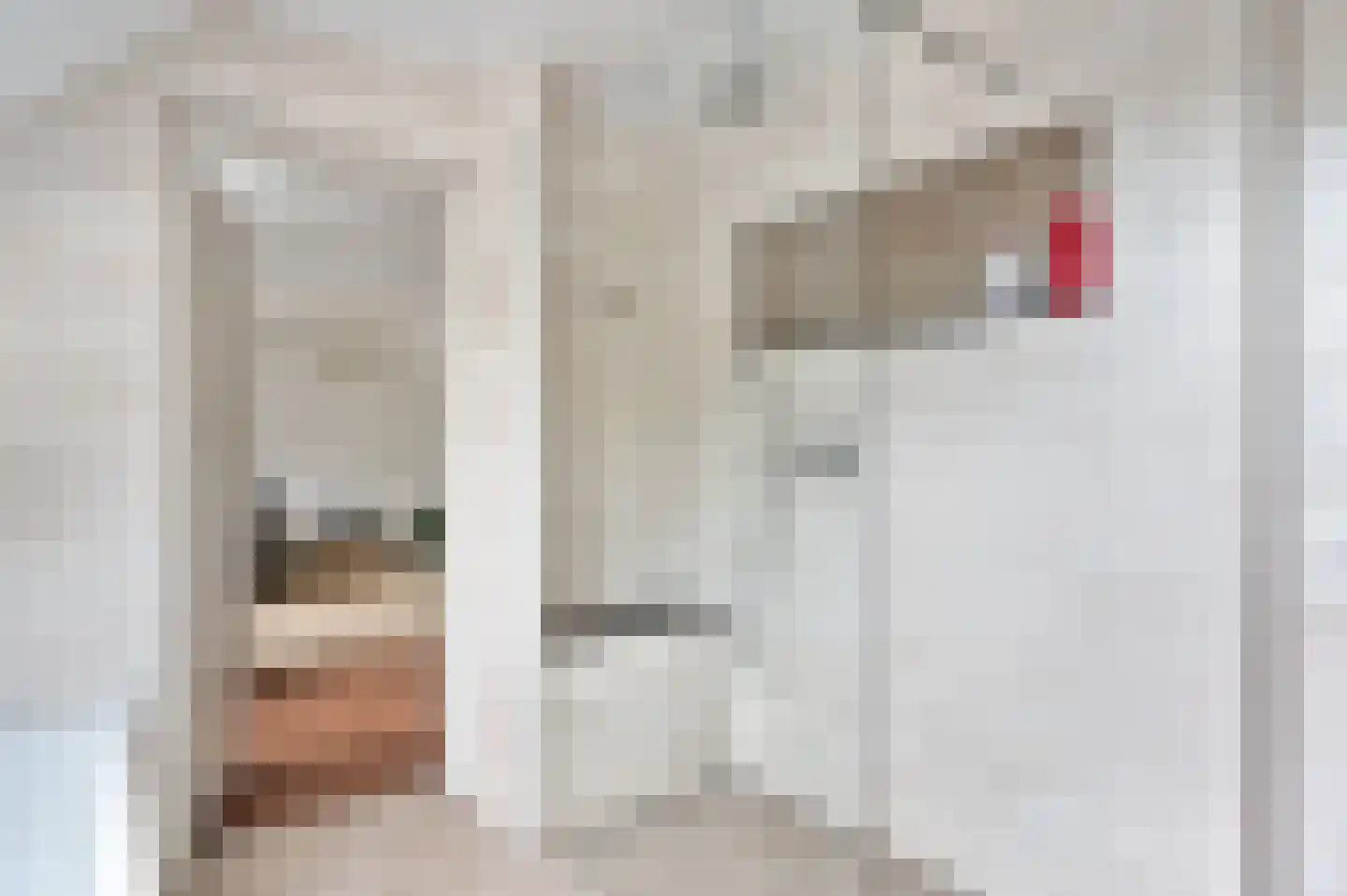 Eerdsebaan 2 Schijndel thumbnail 31