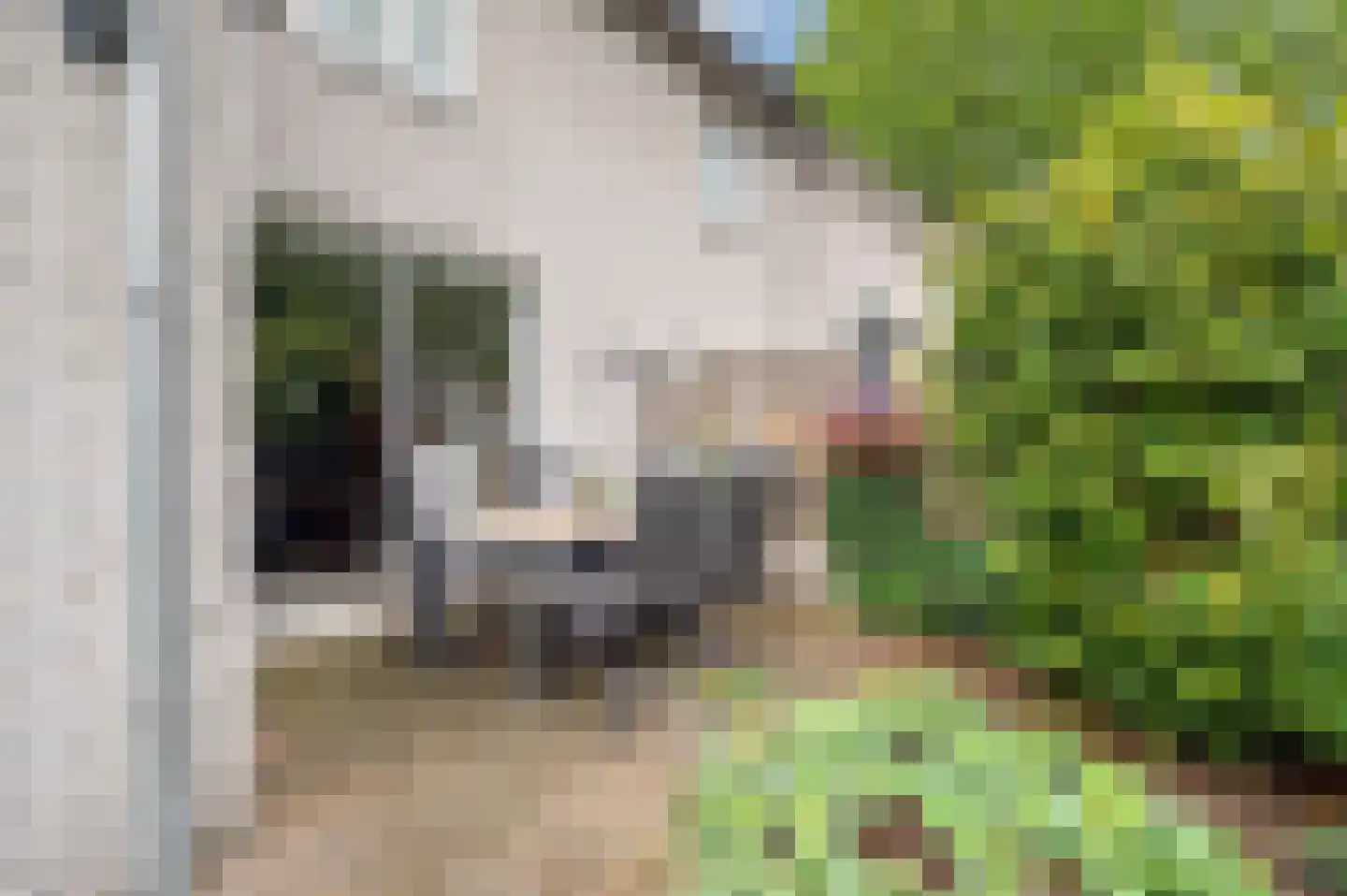 Eerdsebaan 2 Schijndel thumbnail 42