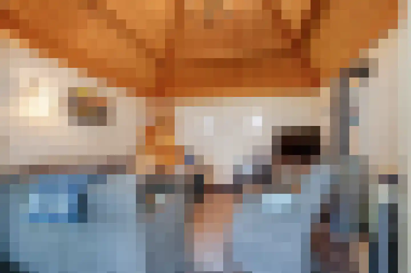 Eerdsebaan 2 Schijndel thumbnail 47