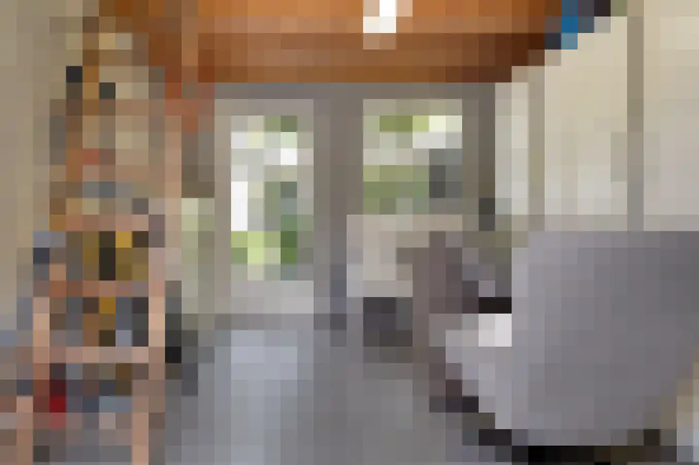 Eerdsebaan 2 Schijndel thumbnail 49
