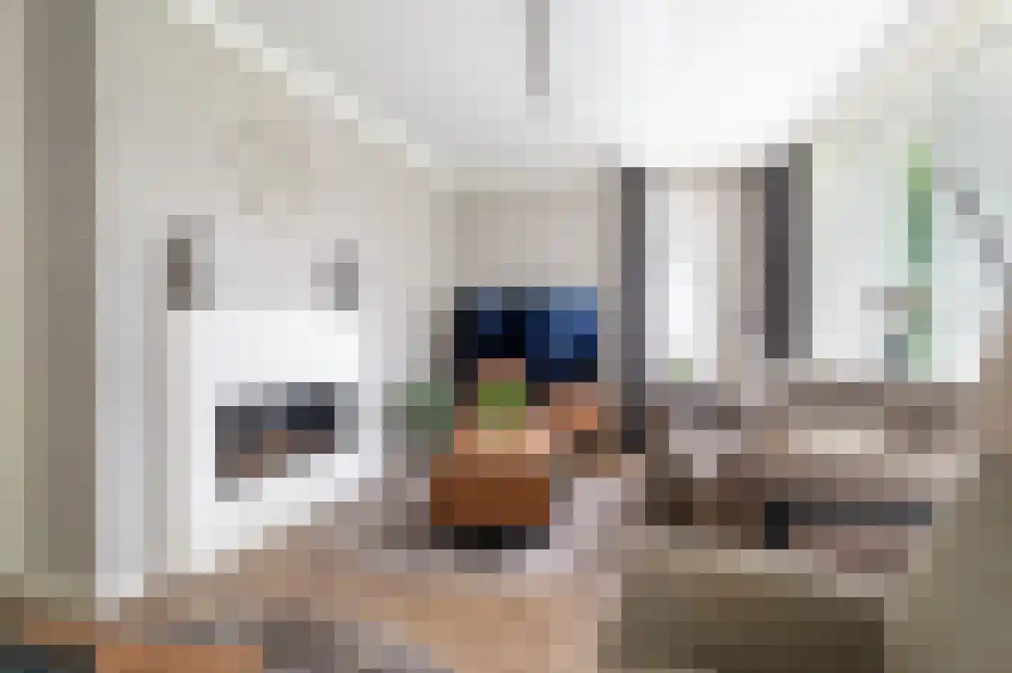 Eerdsebaan 2 Schijndel thumbnail 7