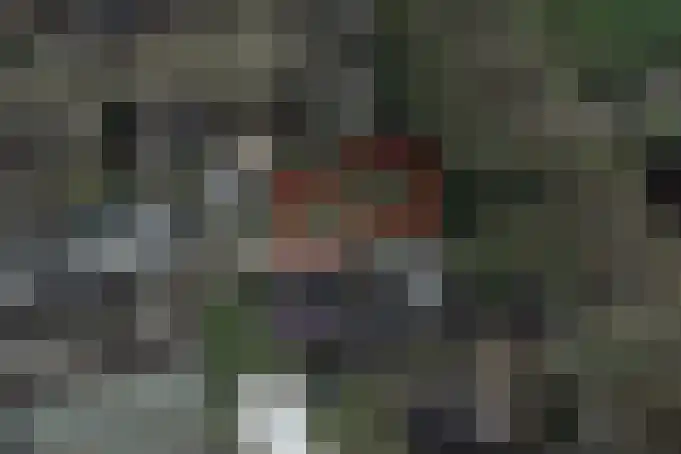 Eerdsebaan 22 Schijndel thumbnail 4