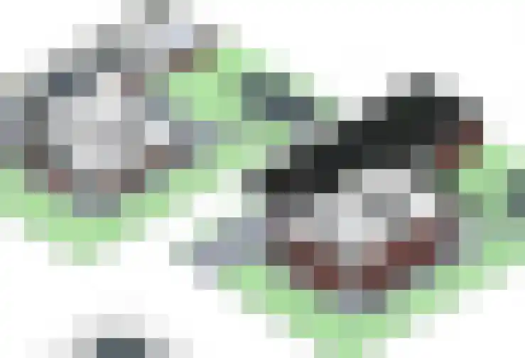 Eerdsebaan 22 Schijndel thumbnail 6
