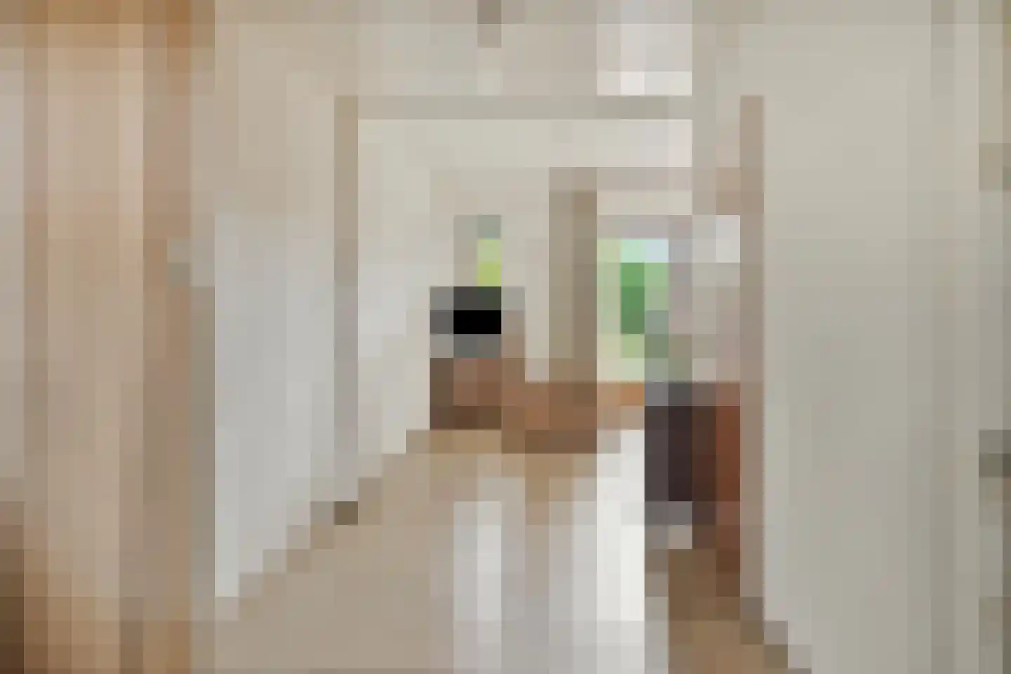 Eerelmanlaan 25 Musselkanaal thumbnail 11