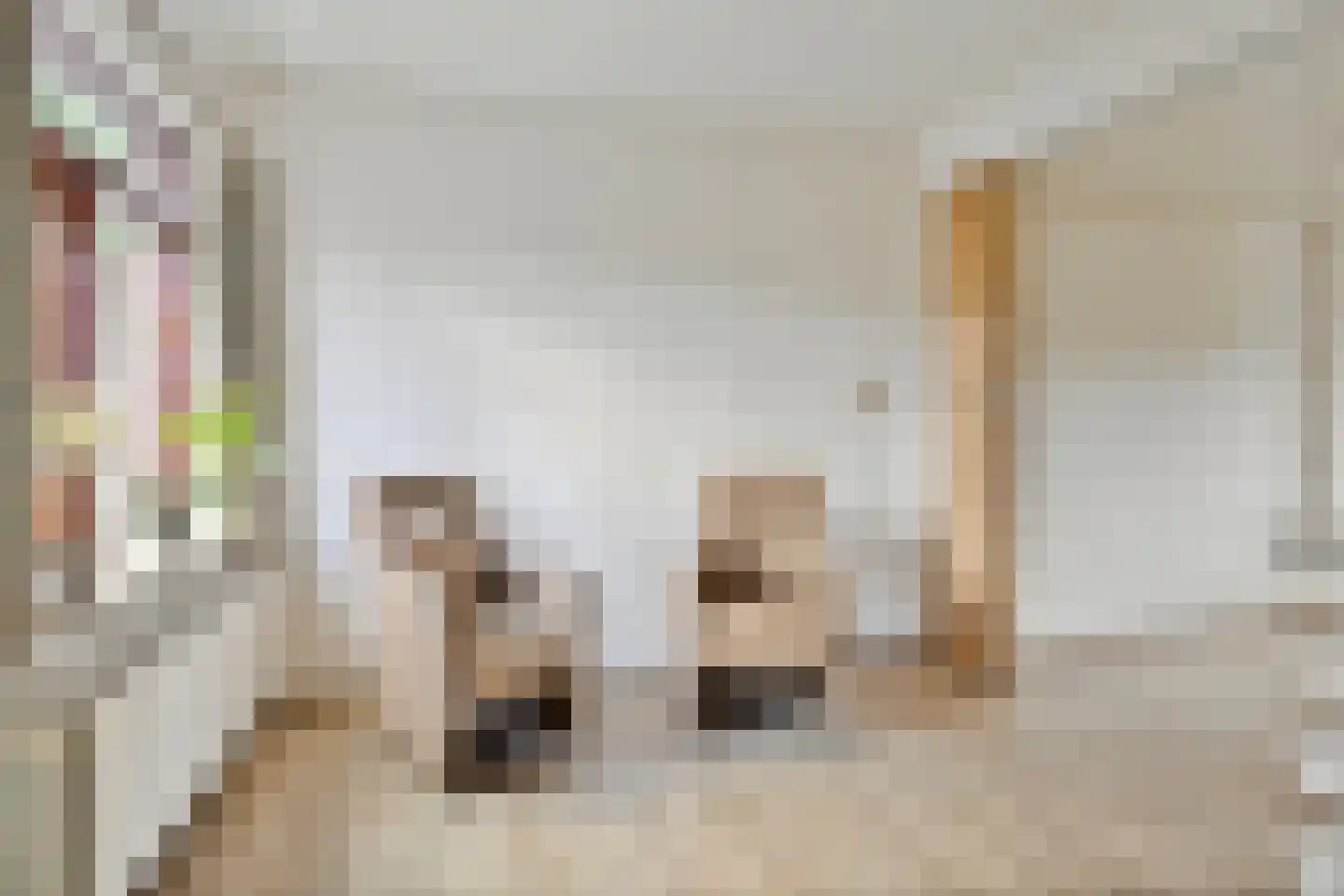 Eerelmanlaan 25 Musselkanaal thumbnail 13