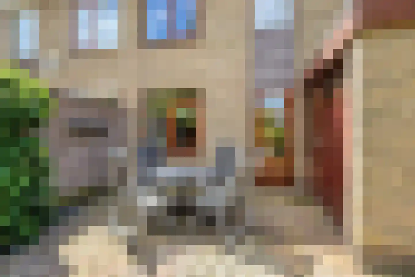 Eerelmanlaan 25 Musselkanaal thumbnail 37