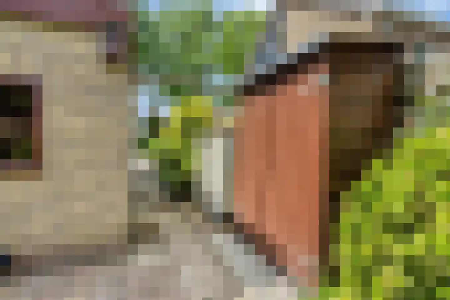 Eerelmanlaan 25 Musselkanaal thumbnail 38