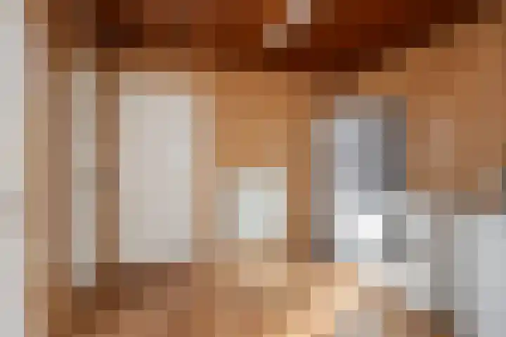 Eerschotsestraat 100 Sint-Oedenrode thumbnail 30