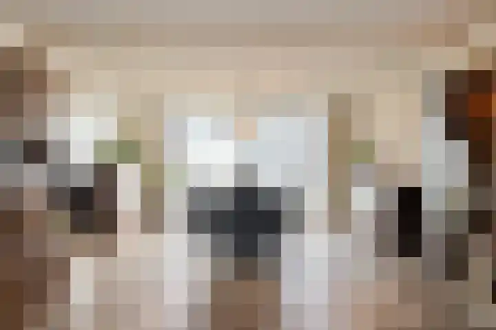 Eerschotsestraat 100 Sint-Oedenrode thumbnail 4