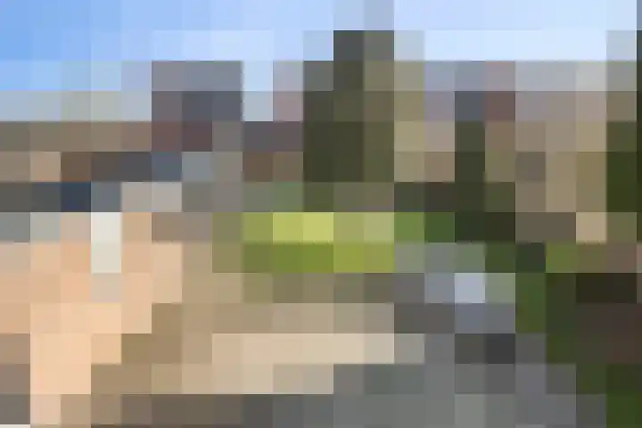 Eerschotsestraat 100 Sint-Oedenrode thumbnail 44