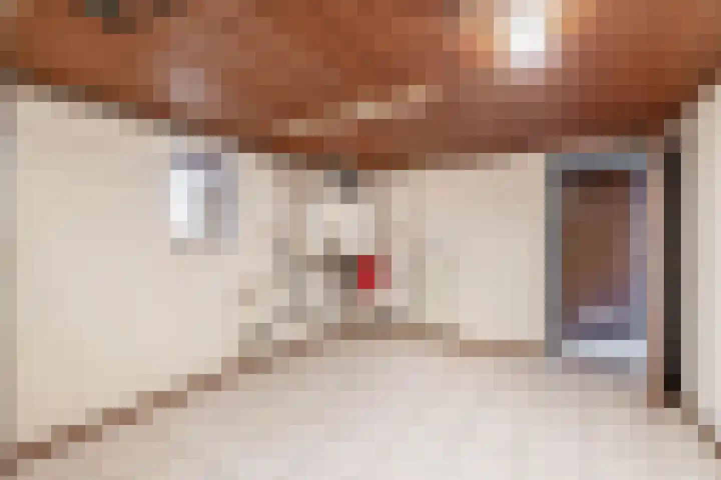 Eerschotsestraat 70 Sint-Oedenrode thumbnail 9