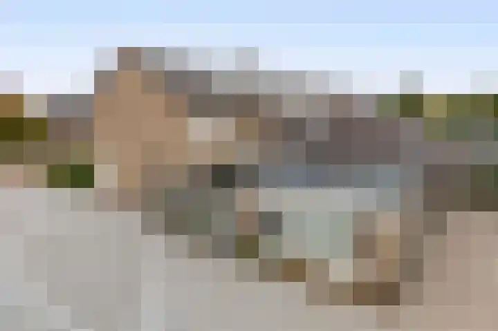 Eerschotsestraat 90 Sint-Oedenrode thumbnail 10